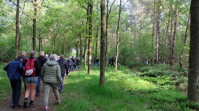 Dauwtrappen (donderdag 18 mei 2023)